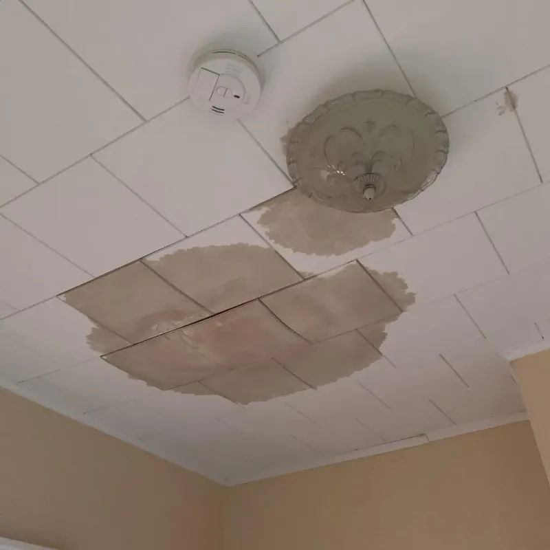 Ceiling Water Damage Repair in Decatur, IL
